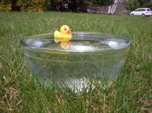 Rubber_duck_in_glass_bowl