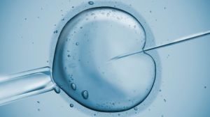 IVF Treatment