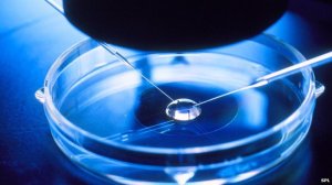 ivf_science