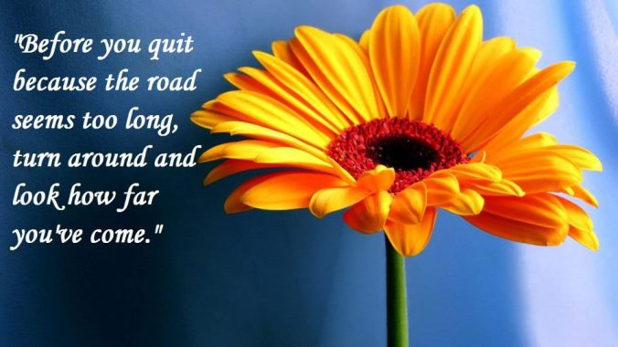 306655_494425353906762_1290725393_n